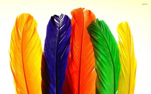 7219-colorful-feathers-1920x1200-artistic-wallpaper