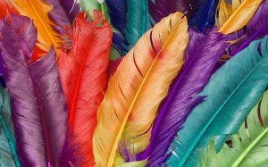 colorful_feather_001013